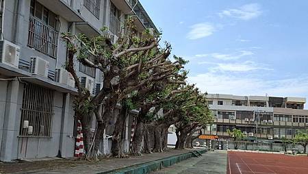 大甲國中第一屆忠班 大甲國中第一屆忠班