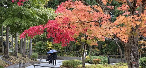 Mr.BIue 照片分享 (三)