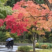 Mr.BIue 照片分享 (三)