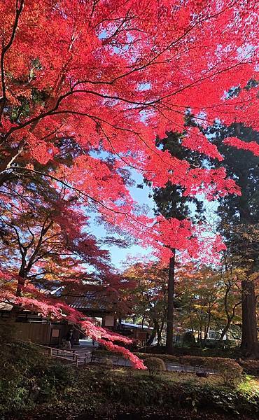 Mr.BIue 照片分享 (三)