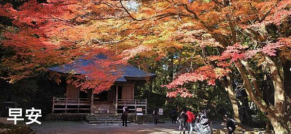 Mr.BIue 照片分享 (三)