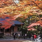 Mr.BIue 照片分享 (三)