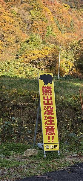 Mr.BIue 照片分享 (三)