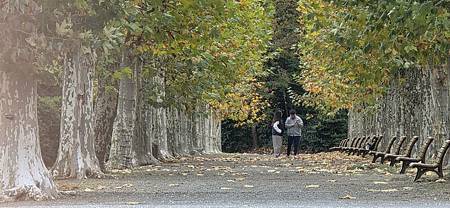 Mr.BIue 照片分享 (三)