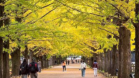 Mr.BIue 照片分享 (三)