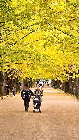 Mr.BIue 照片分享 (三)