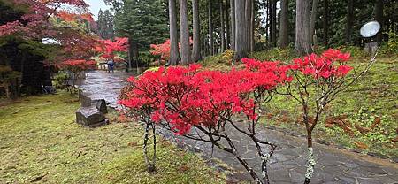 Mr.BIue 照片分享 (三)