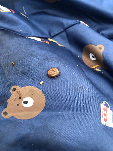 %E6%9C%AA%E5%91%BD%E5%90%8D