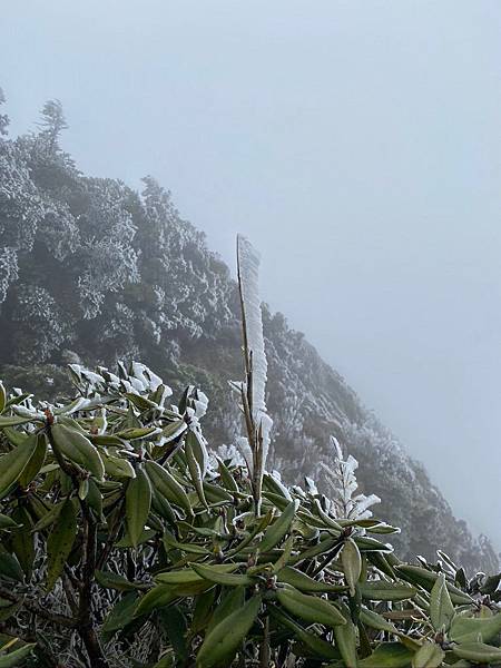 %E6%9C%AA%E5%91%BD%E5%90%8D