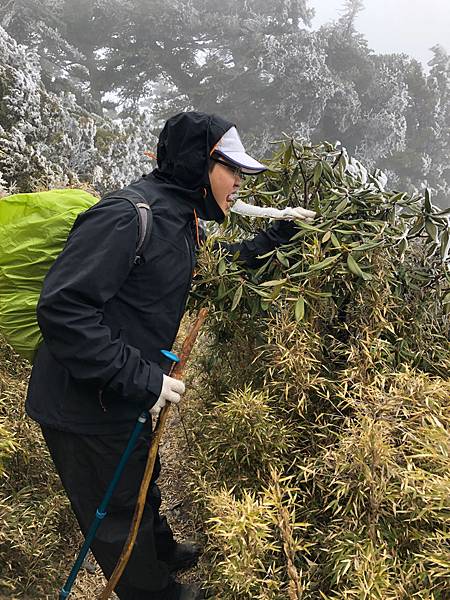 %E6%9C%AA%E5%91%BD%E5%90%8D