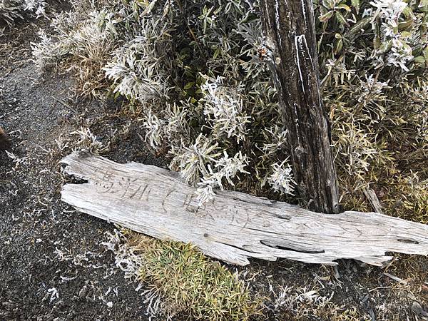 %E6%9C%AA%E5%91%BD%E5%90%8D