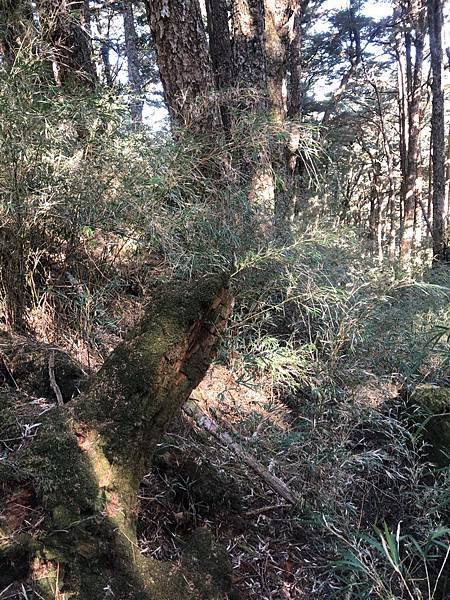 %E6%9C%AA%E5%91%BD%E5%90%8D