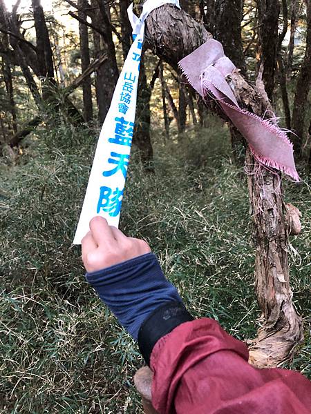 %E6%9C%AA%E5%91%BD%E5%90%8D