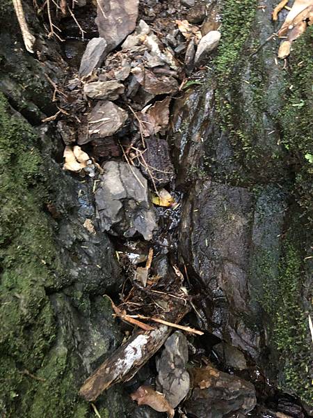 %E6%9C%AA%E5%91%BD%E5%90%8D