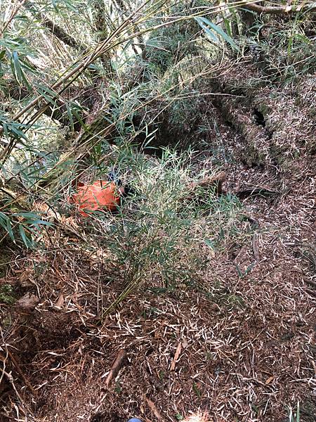 %E6%9C%AA%E5%91%BD%E5%90%8D