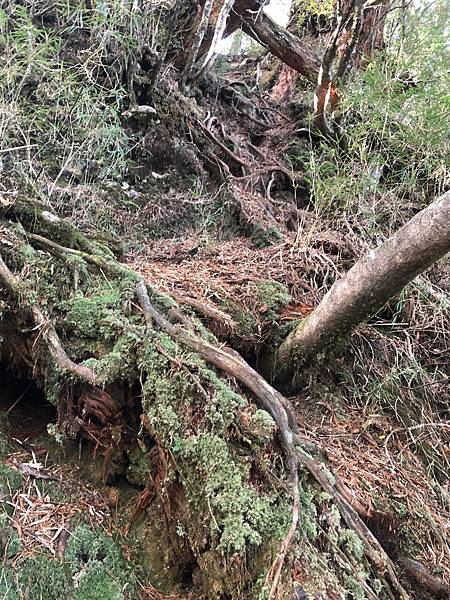 %E6%9C%AA%E5%91%BD%E5%90%8D