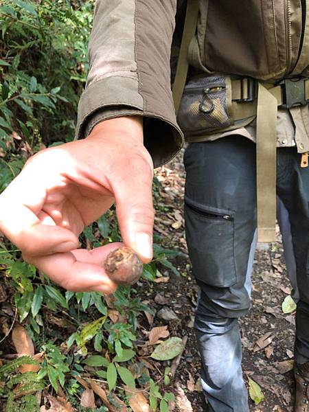 %E6%9C%AA%E5%91%BD%E5%90%8D