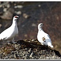 Skaftafell National Park-4.jpg