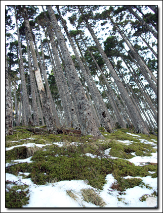 雪山-15.jpg