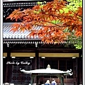 南禪寺-6.jpg