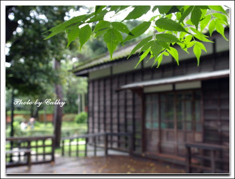 桃園神社外拍-5.jpg