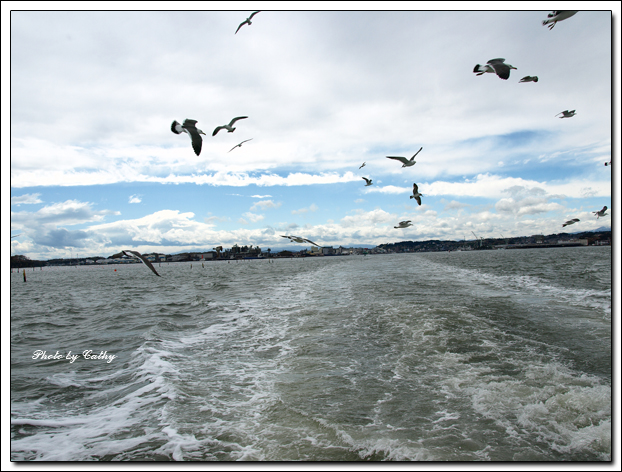 松島-8.jpg 松島-8.jpg