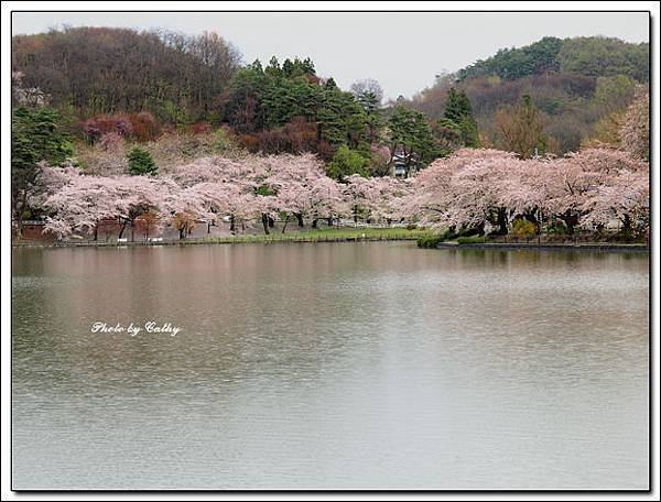 高松之池-5.jpg