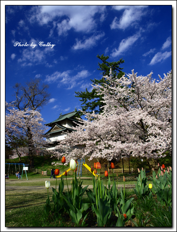 弘前城-26.jpg 弘前城-26.jpg