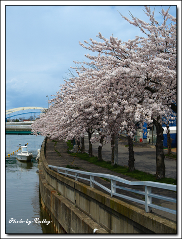 青森-堤川-4.jpg