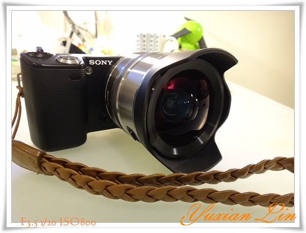 DSC00303.jpg DSC00303.jpg