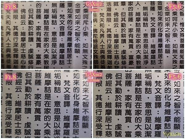 [評比] Canon G5X mark II & SONY 