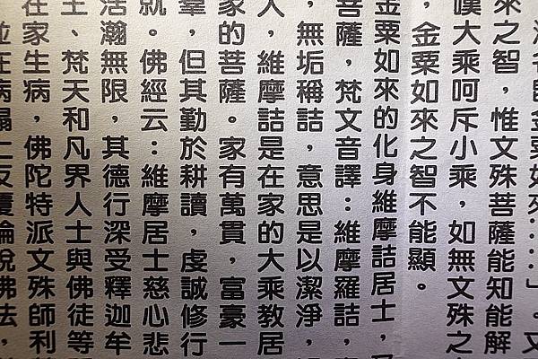 [評比] Canon G5X mark II & SONY 