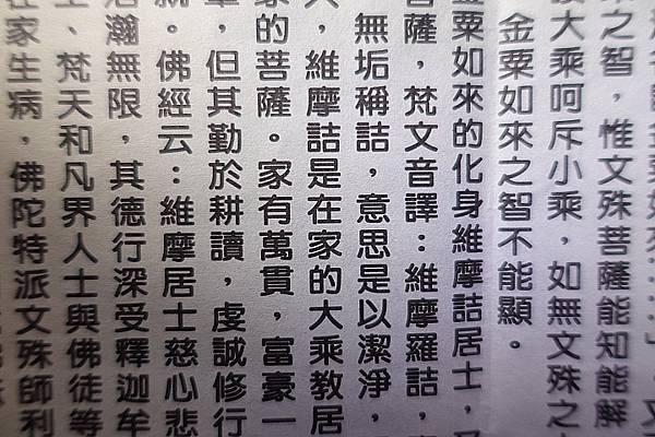 [評比] Canon G5X mark II & SONY 