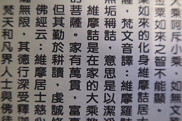 [評比] Canon G5X mark II & SONY 