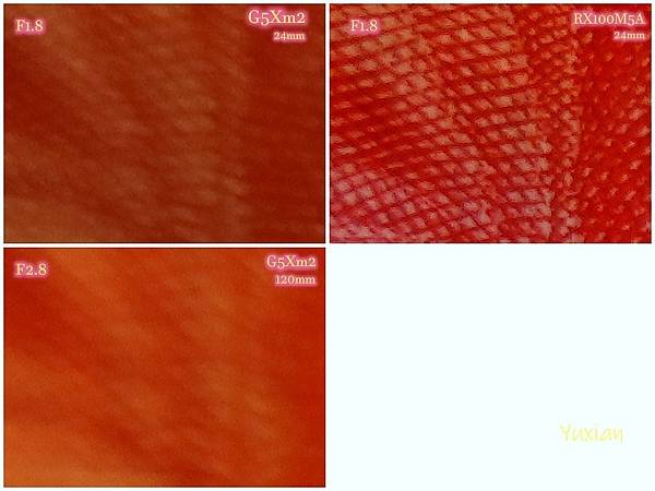 [評比] Canon G5X mark II & SONY 