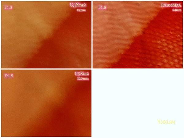 [評比] Canon G5X mark II & SONY 