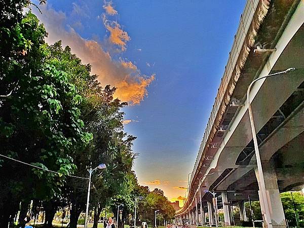 [評比] Canon G5X mark II & SONY 