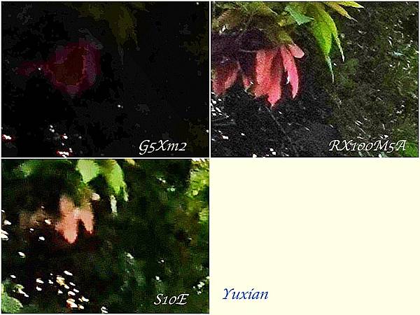 [評比] Canon G5X mark II & SONY 