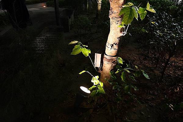 [評比] Canon G5X mark II & SONY 