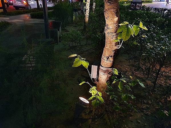 [評比] Canon G5X mark II & SONY 