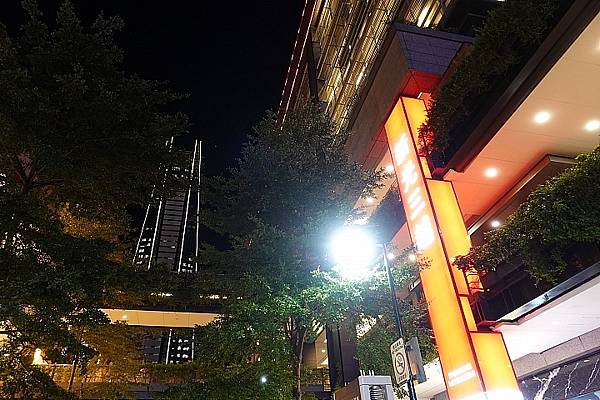 [評比] Canon G5X mark II & SONY 