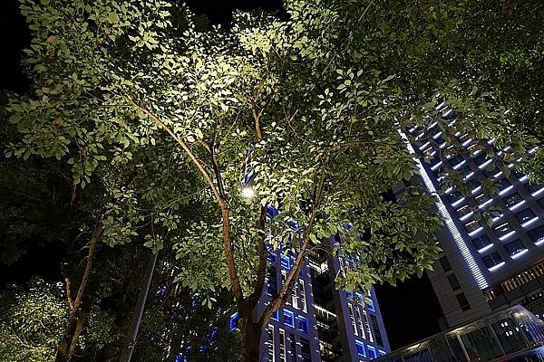 [評比] Canon G5X mark II & SONY 