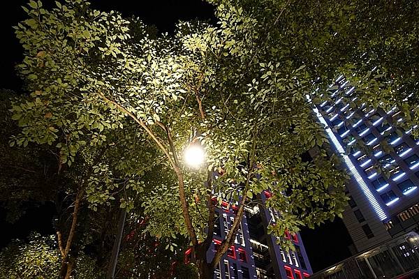 [評比] Canon G5X mark II & SONY 