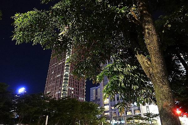 [評比] Canon G5X mark II & SONY 