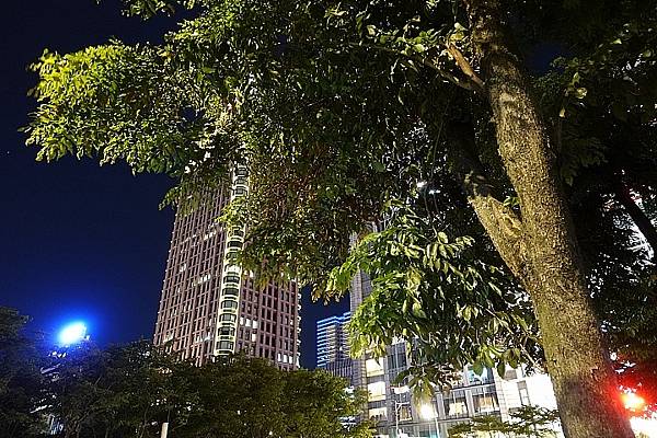 [評比] Canon G5X mark II & SONY 