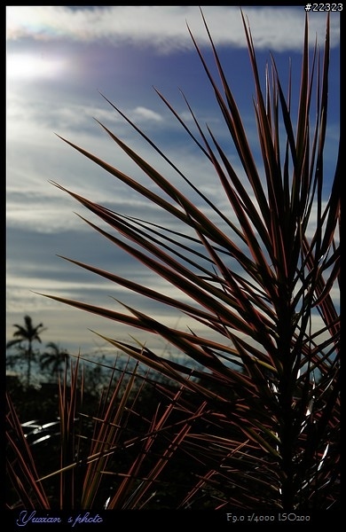 NEX各位分享相片風格設定參數吧~~