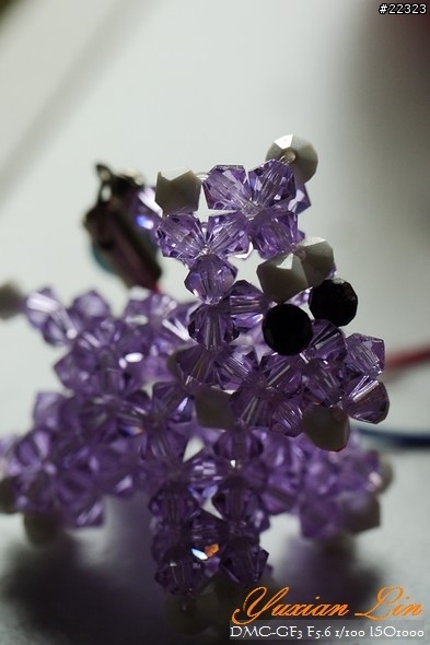 GF3 +14-42 45微 隨手拍~(實拍圖多) GF3 +14-42 45微 隨手拍~(實拍圖多)