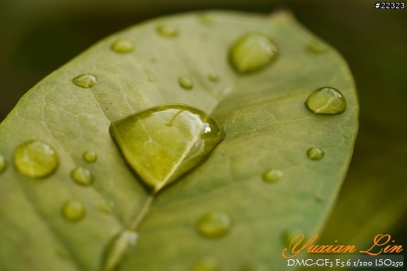 GF3 +14-42 45微 隨手拍~(實拍圖多) GF3 +14-42 45微 隨手拍~(實拍圖多)