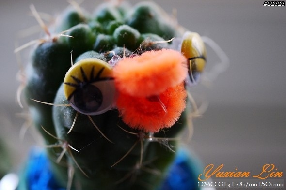 GF3 +14-42 45微 隨手拍~(實拍圖多) GF3 +14-42 45微 隨手拍~(實拍圖多)