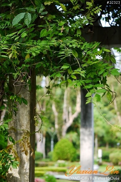 GF3 +14-42 45微 隨手拍~(實拍圖多) GF3 +14-42 45微 隨手拍~(實拍圖多)